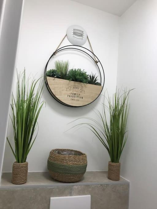 Studio « Oasis Provencale » Vallauris Dış mekan fotoğraf
